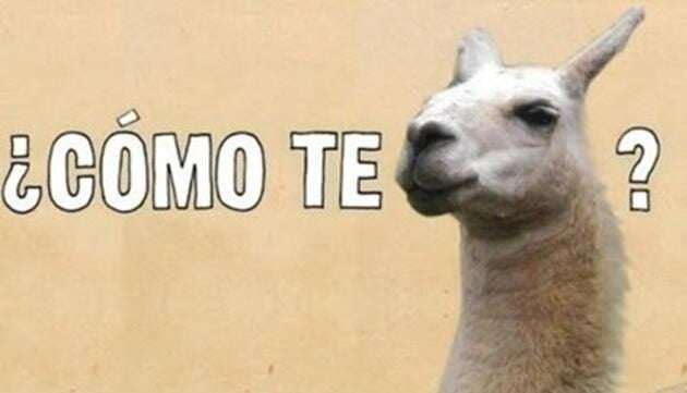 Como Te