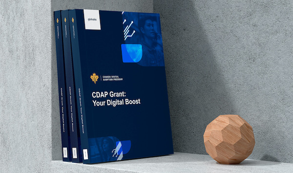 CDAP-grant-guide