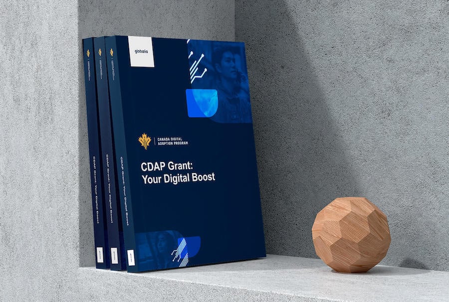 CDAP-grant-guide
