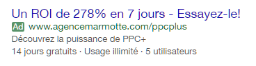 ROI-adwords-anatomie.png