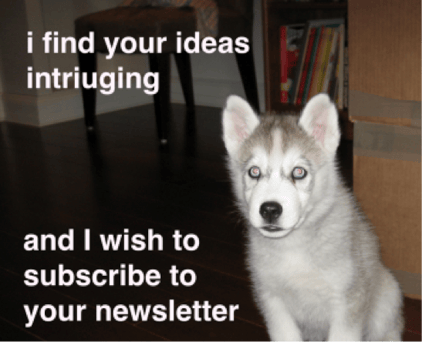i-wish-subscribe-newsletter