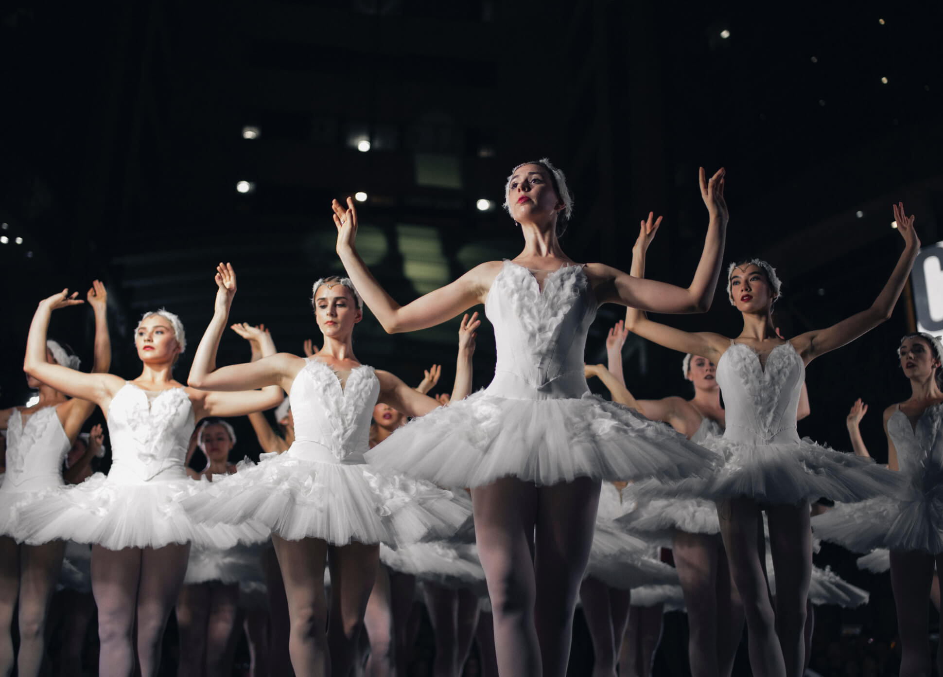 Craft CMS - Alberta Ballet & Globalia
