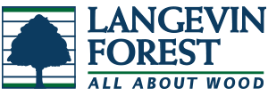 langevin_logo_en