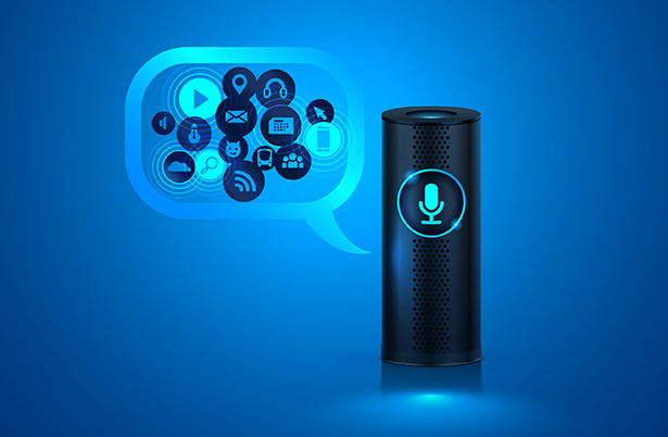 How will Voice Commerce Revolutionize Electronic Commerce?