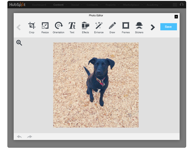 hubspot-cos-Image_Editeur