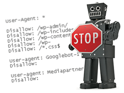 robots-txt1